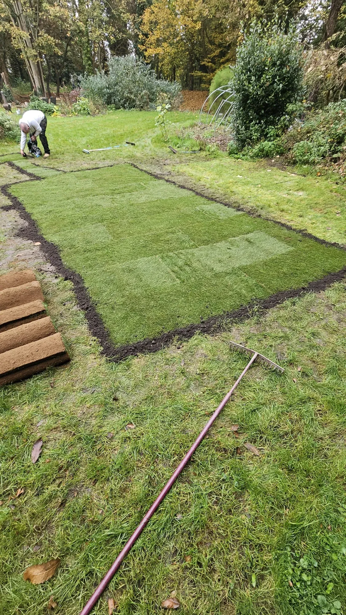 A worker laying fresh green turf in a garden after groundworks, with rolls of turf and a rake nearby.